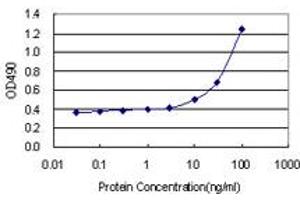 Sandwich ELISA detection sensitivity ranging from 3 ng/mL to 100 ng/mL. (POLD2 (人) Matched Antibody Pair)