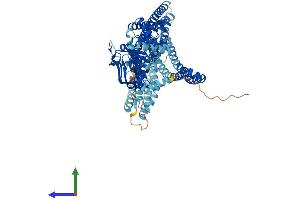 Protein Structure (PS) image for ATP-Binding Cassette, Sub-Family B (MDR/TAP), Member 9 (ABCB9) (AA 1-766) protein (His tag) (ABIN7551793)