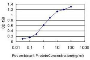 Detection limit for recombinant GST tagged AFF4 is approximately 0. (AFF4 抗体  (AA 1-108))