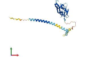 Protein Structure (PS) image for CD40 Ligand (CD40LG) (AA 1-261) protein (His tag) (ABIN7553108)