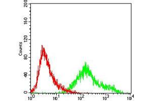Flow cytometric analysis of A431 cells using CCNA2 mouse mAb (green) and negative control (red).