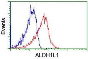 Flow cytometric Analysis of Jurkat cells, using anti-ALDH1L1 antibody (ABIN2453883), (Red), compared to a nonspecific negative control antibody, (Blue). (ALDH1L1 抗体)