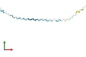 Protein Structure (PS) image for Small Proline-Rich Protein 2G (SPRR2G) (AA 1-73) protein (Fc Tag) (ABIN7546229)