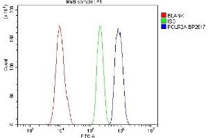 Flow Cytometry analysis of HL-60 cells using anti-POLR2A antibody (ABIN7599598). (POLR2A/RPB1 抗体  (AA 10-321))