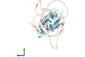 AlphaFold protein structure predicition of Human Recombinant ZNF484 Protein, UniprotID Q5JVG2