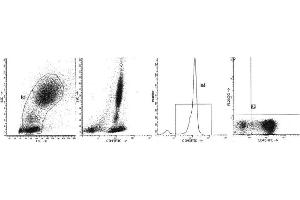 Image no. 1 for anti-Sialophorin (SPN) antibody (PE) (ABIN1106376) (CD43 抗体  (PE))
