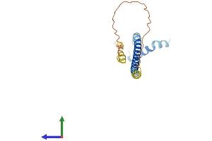 Protein Structure (PS) image for DPY30 Domain Containing 2 (DYDC2) (AA 1-177) protein (His tag) (ABIN7547314)