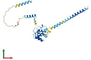 Protein Structure (PS) image for EF-Hand Domain Family, Member D1 (EFHD1) (AA 1-239) protein (His tag) (ABIN7547319)