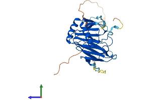 Protein Structure (PS) image for AlkB, Alkylation Repair Homolog 3 (ALKBH3) (AA 1-286) protein (His tag) (ABIN7552143)