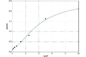Gremlin 1 (GREM1) ELISA Kit