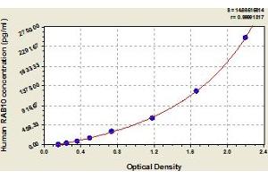 Typical Standard Curve (RAB10 ELISA 试剂盒)