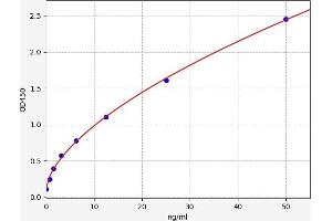 Typical standard curve (P4HA2 ELISA 试剂盒)