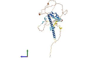 Protein Structure (PS) image for Salvador Homolog 1 (SAV1) (AA 1-386) protein (His tag) (ABIN7564754)