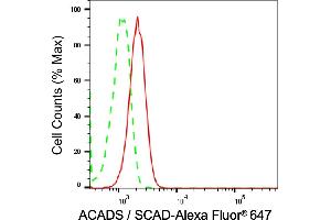 Flow cytometric analysis of Acyl-CoA dehydrogenase short chain expression in C2C12 cells using Acyl-CoA dehydrogenase short chain antibody (ABIN7797493), 1:2,000). (Recombinant Acyl Co-A Dehydrogenase (AIDB) (chain short) 抗体)