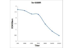ELISA image for anti-Sodium Channel, Voltage-Gated, Type VIII, alpha (SCN8A) (AA 251-314) antibody (ABIN719981)