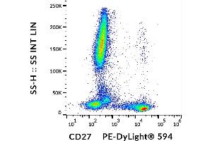 Flow cytometry analysis (surface staining) of human peripheral blood cells with anti-human CD27 (LT27) PE-DyLight® 594. (CD27 抗体  (PE-DyLight 594))