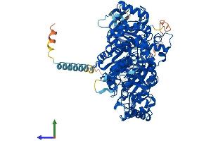 Protein Structure (PS) image for N-Deacetylase/N-Sulfotransferase (Heparan Glucosaminyl) 1 (NDST1) (AA 1-882) protein (His tag) (ABIN7554701)