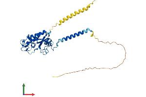 Protein Structure (PS) image for GLI Pathogenesis-Related 1 Like 2 (GLIPR1L2) (AA 1-332) protein (His tag) (ABIN7560508)
