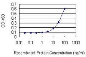 ELISA image for anti-Membrane Protein, Palmitoylated 2 (MAGUK P55 Subfamily Member 2) (MPP2) (AA 1-552) antibody (ABIN518005)