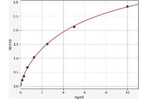 c-MYC ELISA 试剂盒