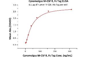 Immobilized Human M-CSF, His Tag (ABIN5674639,ABIN6253718) at 5 μg/mL (100 μL/well) can bind Cynomolgus M-CSF R, Fc Tag (ABIN5526646,ABIN5526647) with a linear range of 1-39 ng/mL (Routinely tested). (CSF1R Protein (AA 99-596) (Fc Tag))