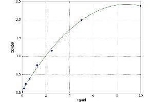 A typical standard curve (SLC29A1 ELISA 试剂盒)