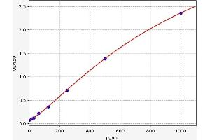 Typical standard curve
