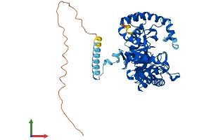 Protein Structure (PS) image for Potassium Voltage-Gated Channel, Shaker-Related Subfamily, beta Member 1 (KCNAB1) (AA 1-419) protein (His tag) (ABIN7554339)