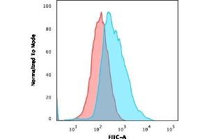 Flow Cytometric Analysis of PFA-fixed MCF cells. (JUP 抗体)