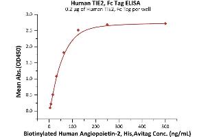 ELISA image for TEK Tyrosine Kinase, Endothelial (TEK) (AA 23-748) (Active) protein (Fc Tag) (ABIN6992355)