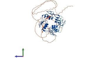 Protein Structure (PS) image for Zinc Finger Protein 239 (ZNF239) (AA 1-458) protein (His tag) (ABIN7545649)