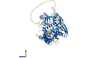Protein Structure (PS) image for Discs, Large Homolog 4 (Drosophila) (DLG4) (AA 1-724) protein (His tag) (ABIN7553669)