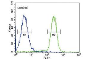 Flow Cytometry (FACS) image for anti-Hydroxysteroid (17-Beta) Dehydrogenase 2 (HSD17B2) antibody (ABIN3002244) (HSD17B2 抗体)