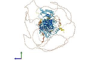 Protein Structure (PS) image for Minichromosome Maintenance Deficient 9 (MCM9) (AA 1-1134) protein (His tag) (ABIN7563647)