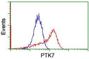 HEK293T cells transfected with either RC223416 overexpress plasmid (Red) or empty vector control plasmid (Blue) were immunostained by anti-PTK7 antibody (ABIN2455287), and then analyzed by flow cytometry. (PTK7 抗体)