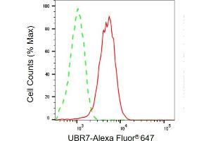 Flow cytometric analysis of UBR7 expression in HepG2 cells using UBR7 antibody (ABIN7800720), 1:2,000).
