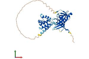 AlphaFold protein structure predicition of Mouse Recombinant Aim2 Protein, UniprotID Q91VJ1 (AIM2 Protein (AA 1-354) (His tag))