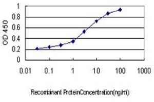 ELISA image for anti-Minichromosome Maintenance Complex Component 2 (MCM2) (AA 805-904) antibody (ABIN561759)
