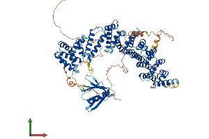 Protein Structure (PS) image for Serine/threonine-Protein Phosphatase 4 Regulatory Subunit 3A (SMEK1) (AA 1-820) protein (His tag) (ABIN7564082)