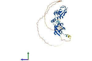 Protein Structure (PS) image for BMI1 Polycomb Ring Finger Oncogene (BMI1) (AA 1-326) protein (His tag) (ABIN7552812)