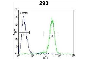 N2A1 Antibody (Center) (ABIN654920 and ABIN2844565) flow cytometric analysis of 293 cells (right histogram) compared to a negative control cell (left histogram). (alpha-Mannosidase II 抗体  (AA 456-482))