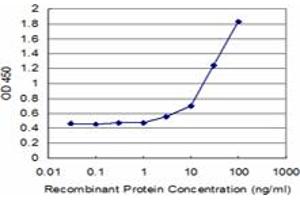 Detection limit for recombinant GST tagged RPL14 is approximately 3ng/ml as a capture antibody. (RPL14 抗体  (AA 1-90))