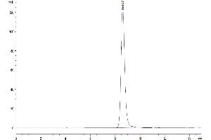 Size-exclusion chromatography-High Pressure Liquid Chromatography (SEC-HPLC) image for Hemopexin (HPX) (AA 24-460) protein (His tag) (ABIN7274828)
