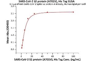 ELISA image for SARS-CoV-2 Spike S2 (B.1.351 - beta) (Active) protein (His tag) (ABIN6992376)