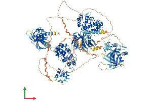 Protein Structure (PS) image for ArfGAP with RhoGAP Domain, Ankyrin Repeat and PH Domain 1 (ARAP1) (AA 1-1452) protein (His tag) (ABIN7563779)
