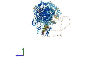 Protein Structure (PS) image for serine/threonine Kinase 36 (STK36) (AA 1-1315) protein (His tag) (ABIN7555659)