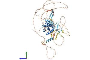 Protein Structure (PS) image for Cdk5 and Abl Enzyme Substrate 1 (CABLES1) (AA 1-633) protein (His tag) (ABIN7552863)