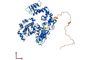 AlphaFold protein structure predicition of Human Recombinant GRK4 Protein, UniprotID P32298