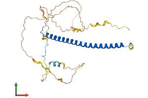 AlphaFold protein structure predicition of Mouse Recombinant Cebpb Protein, UniprotID P28033