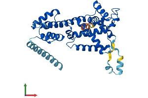 Protein Structure (PS) image for ELMO/CED-12 Domain Containing 1 (ELMOD1) (AA 1-334) protein (His tag) (ABIN7547337)